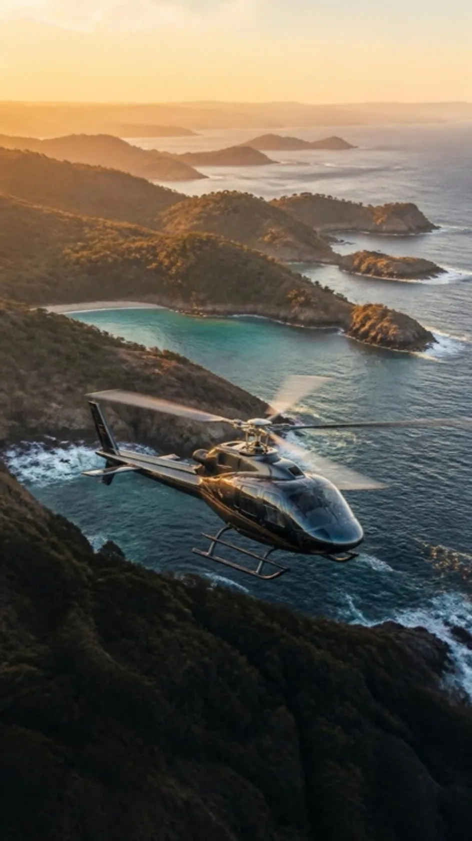 A helicopter over the Guanacaste coast, a villa above the Pacific and investors looking out over the land